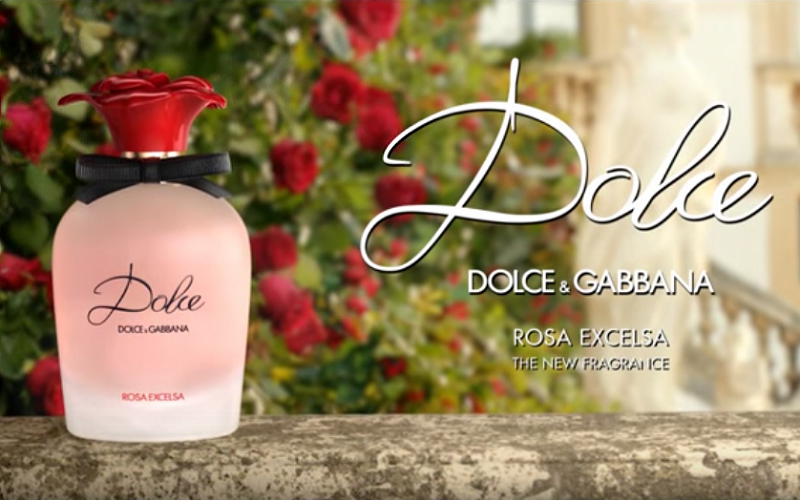 dolce and gabbana rose excelsa