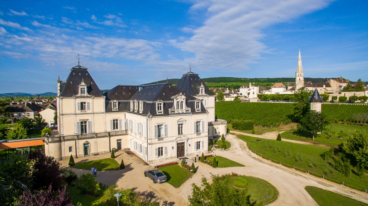 The Chateau des Citeaux - Harvesting in Burgundy