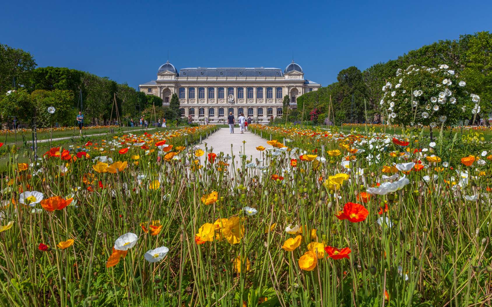 10 lieux bucoliques pour lire et se détendre en plein air - Paris Select