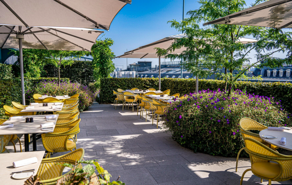 samaritaine paris rooftop