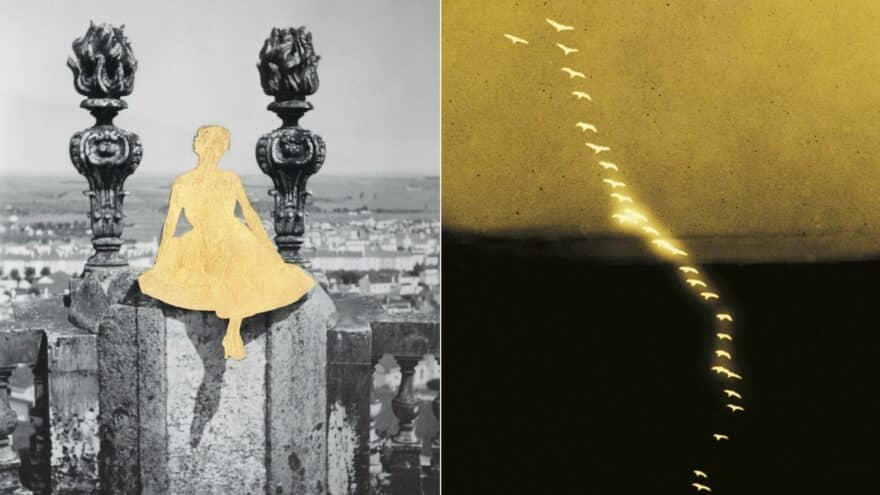 July exhibitions