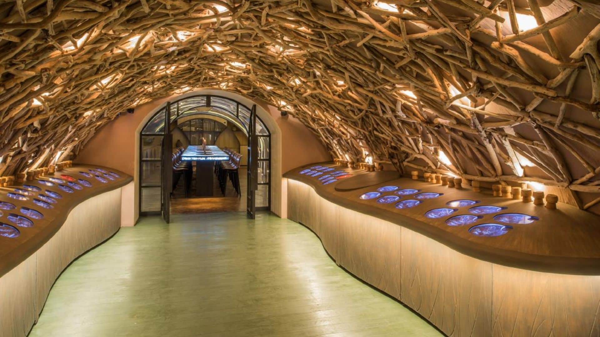 Les caves du Louvre