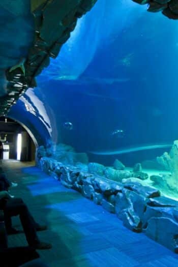 Aquarium de Paris