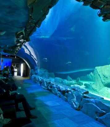 Aquarium de Paris