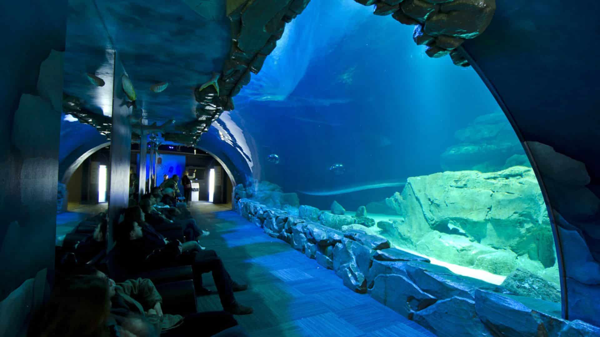 Aquarium de Paris