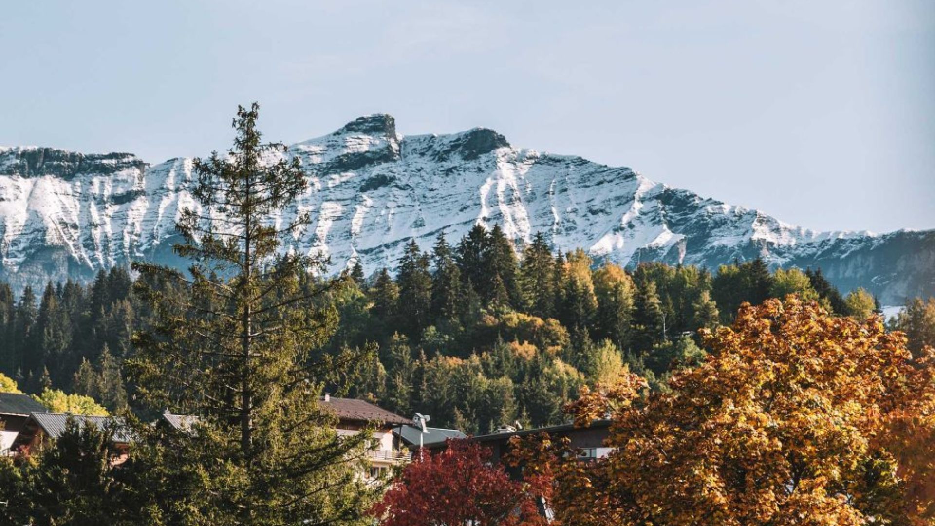 Toquicimes 2025 : quand Megève rebat les cartes de la cuisine de