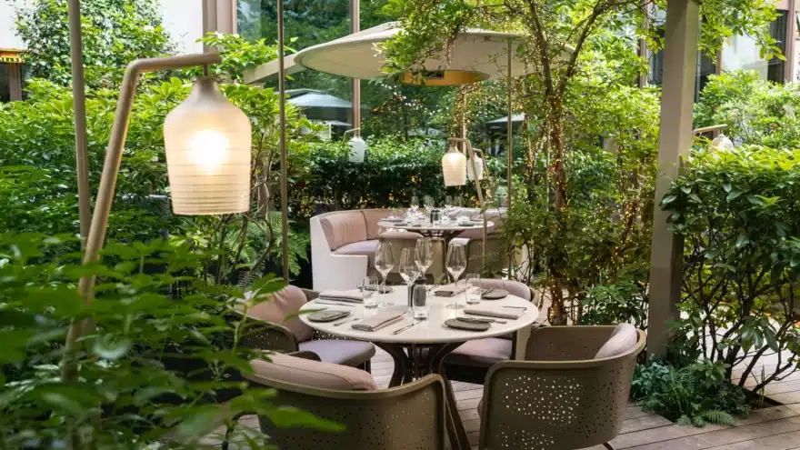 jardins 