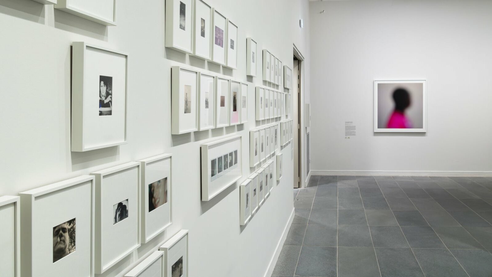 expositions