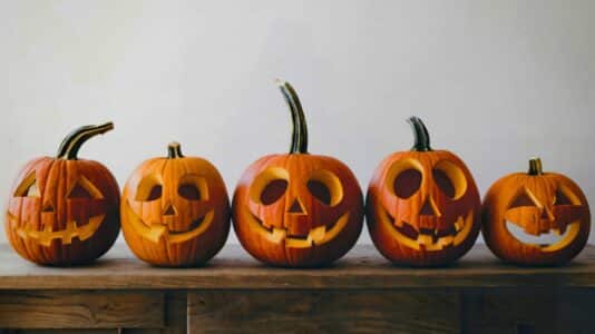 Halloween 2025: apprenez à sculpter votre citrouille lors d’un atelier à la Ferme du Viltain (78)