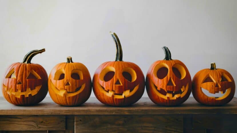 Halloween 2025: apprenez à sculpter votre citrouille lors d’un atelier à la Ferme du Viltain (78)