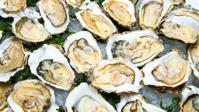 Huîtres: faites ce geste simple avant de servir pour des saveurs plus intenses