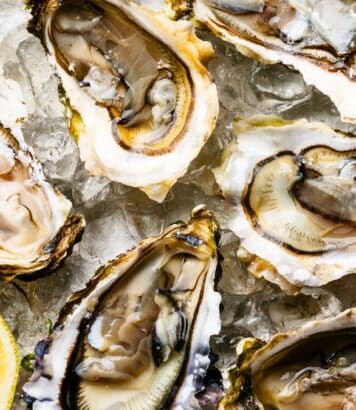 Huîtres : suivez les conseils d’un ostréiculteur pour bien les conserver au frigo