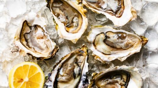 Huîtres : suivez les conseils d’un ostréiculteur pour bien les conserver au frigo
