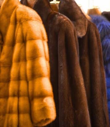 Manteaux hiver 2025 : 5 modèles que les Parisiennes adoptent pour rester chic et au chaud