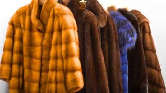 Manteaux hiver 2025 : 5 modèles que les Parisiennes adoptent pour rester chic et au chaud