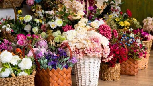 Floralies d'Orgeval 2026 : la fête des plantes revient dans les Yvelines ce printemps