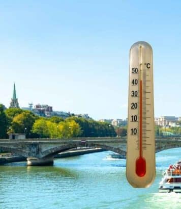 Cinés gratuits, parcs ouverts 24h/24, musées rafraîchis : ces dispositifs anti-canicule que Paris déploie cet été