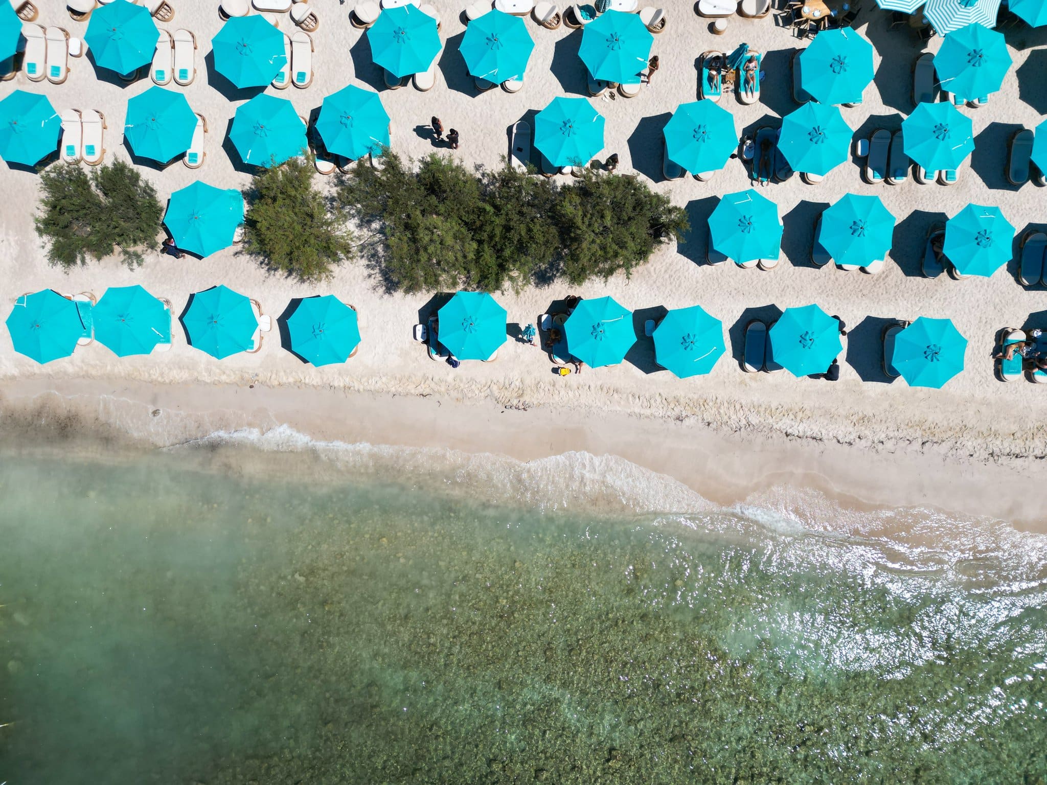 Nammos Cannes, l'adresse phare de la Croisette pour un août de luxe et de saveurs