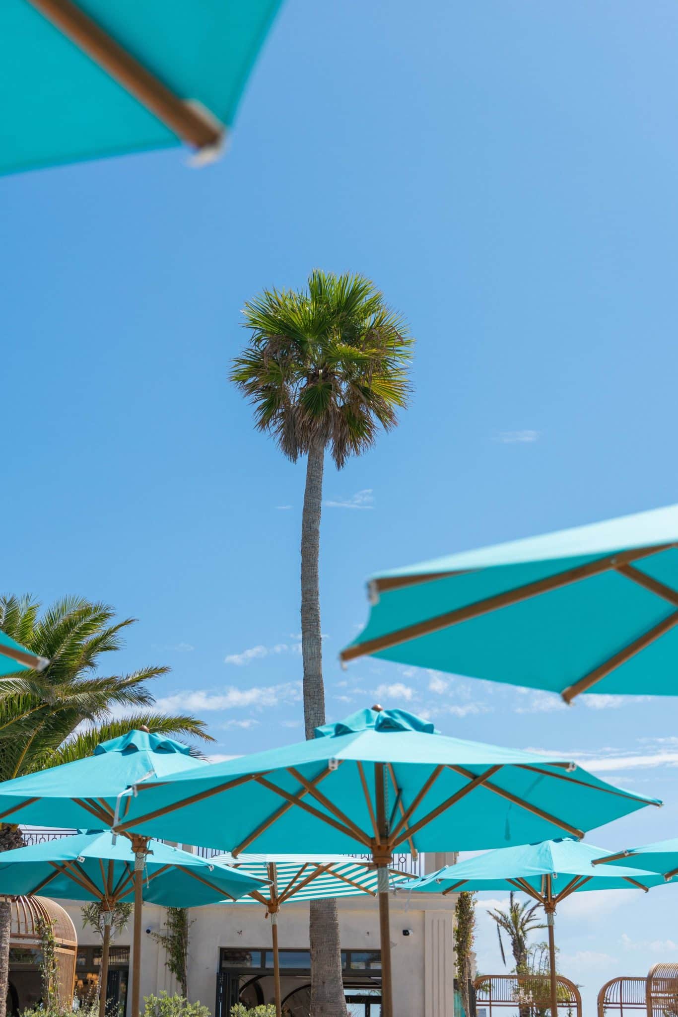 Nammos Cannes, l'adresse phare de la Croisette pour un août de luxe et de saveurs