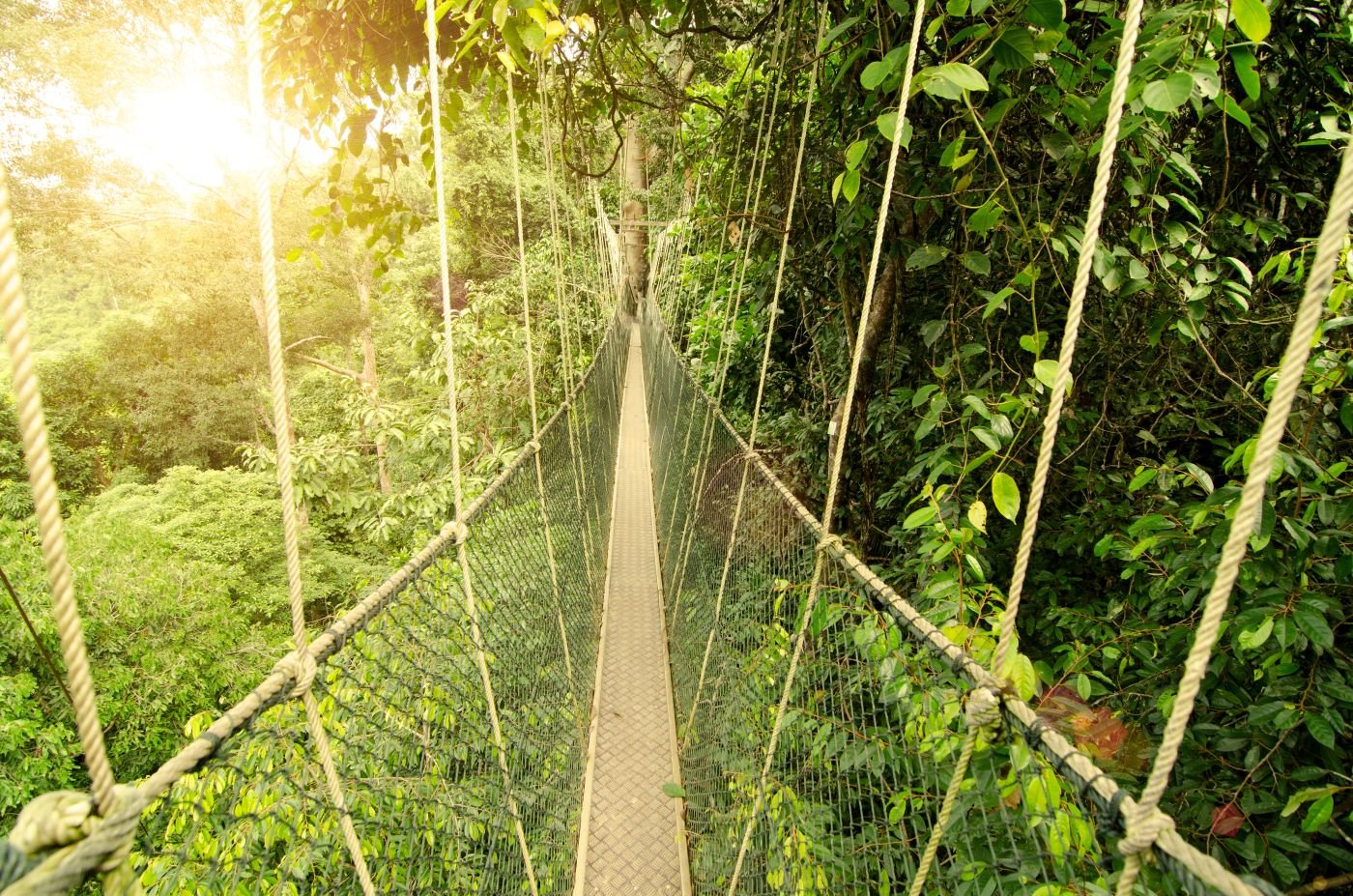 Tourism Malaysia et Visit Malaysia 2026 : la Malaisie s'impose comme la destination famille de l'été