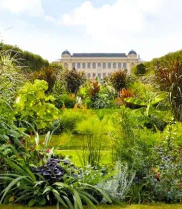 Le Jardin des Plantes fête ses 400 ans avec un week-end gratuit inédit