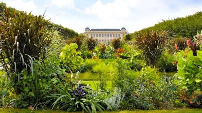 Le Jardin des Plantes fête ses 400 ans avec un week-end gratuit inédit