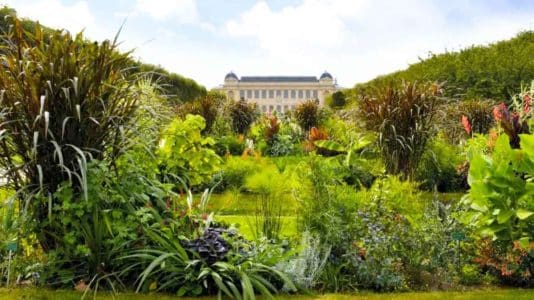 The Jardin des Plantes turns 400: a free weekend of trails, workshops and guided tours