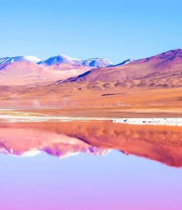 À 4 000 m d'altitude, la Laguna Colorada change de couleur au fil des saisons