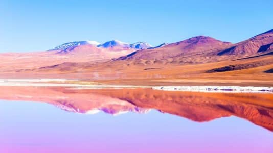 À 4 000 m d'altitude, la Laguna Colorada change de couleur au fil des saisons