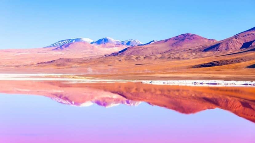 At 4,000 metres above sea level, Laguna Colorada changes colour with the seasons