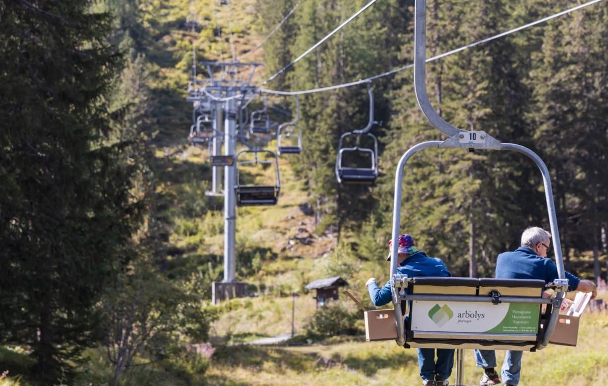PALP Festival en Valais cet été six expériences entre alpages concerts et gastronomie alpine jusqu'au 19 septembre