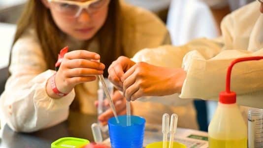 Workshops, talks and tastings in Issy for the Fête de la Science 2026
