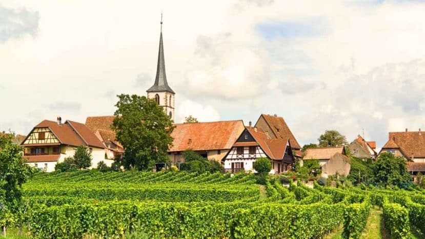 Classé parmi les plus beaux villages d'Alsace, ce bourg vit au rythme du vin depuis le 5e siècle