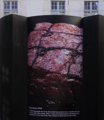 ParisSelectBook - Dover Street Market installe l'ikebana au coeur de Comme des Garçons