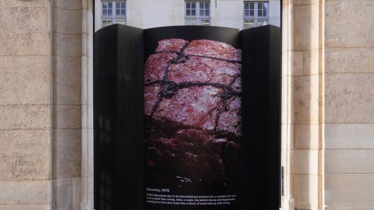 ParisSelectBook - Dover Street Market installe l'ikebana au coeur de Comme des Garçons