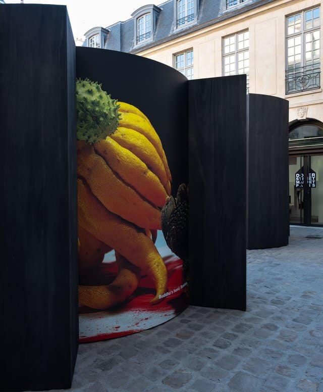 Dover Street Market installe l'ikebana au coeur de Comme des Garçons
