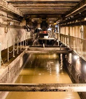Fête de la Science 2026 au Musée des Égouts de Paris : plongez dans les entrailles de la capitale le 11 octobre