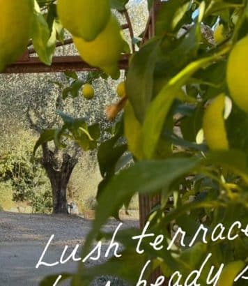 ParisSelectBook - Grasse vue par Louis Vuitton, bien plus qu'une ville de parfums