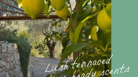 ParisSelectBook - Grasse vue par Louis Vuitton, bien plus qu'une ville de parfums