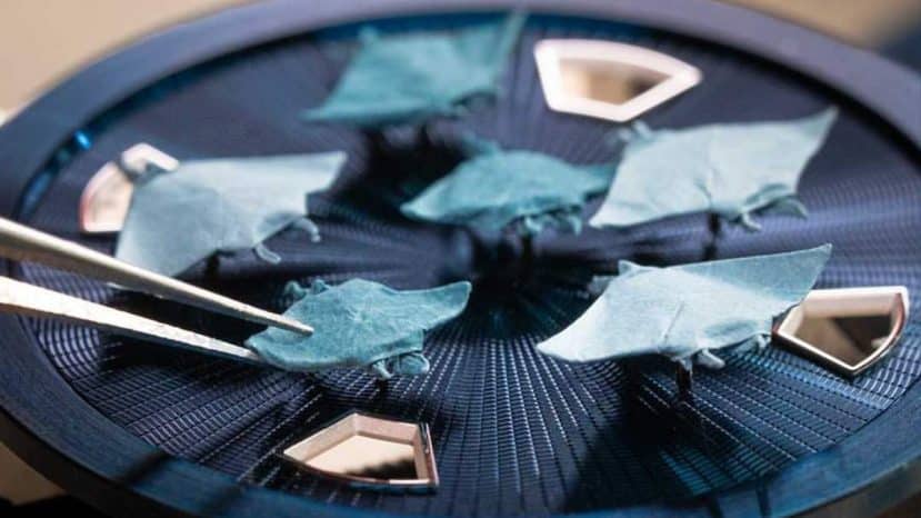 Vacheron Constantin plie des raies manta de 5 mm à mains nues
