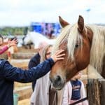 Votre samedi 12 septembre gratuit à Paris (avec un vrai sulky)