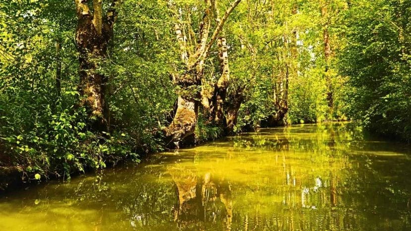 Canaux dorés et feuillages flamboyants : la Venise Verte à explorer en barque cet automne