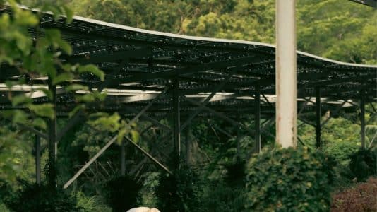 ParisSelectBook - Six Senses cultive sa propre ferme solaire au Vietnam