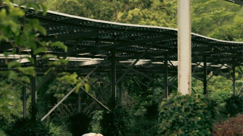 ParisSelectBook - Six Senses cultive sa propre ferme solaire au Vietnam