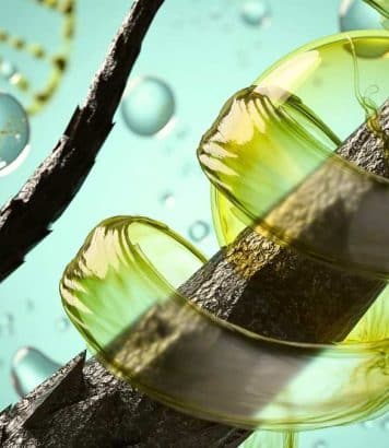 Victoire de la Pharmacie 2027 à 17,32/20 pour ces soins capillaires à la kératine qui densifient les cheveux fins