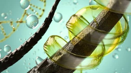 Victoire de la Pharmacie 2027 à 17,32/20 pour ces soins capillaires à la kératine qui densifient les cheveux fins