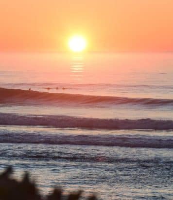 Médoc Atlantique en arrière-saison, vignes dorées et plages désertes à deux heures de Paris