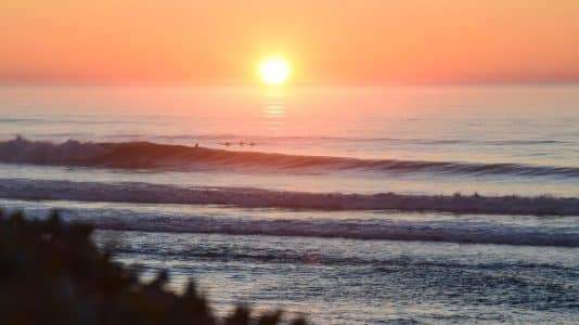 Médoc Atlantique en arrière-saison, vignes dorées et plages désertes à deux heures de Paris